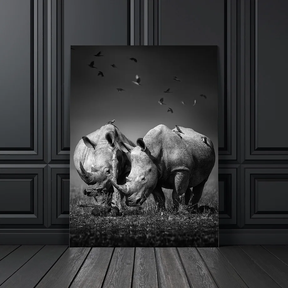 5 (4)