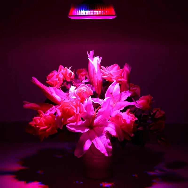 12w grow lights 