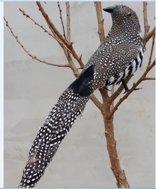 Foam Feathers Artificial Bird Large 40cm Cuckoo Bird Handicraft Garden Decoration Prop Gift A2580 Aliexpress