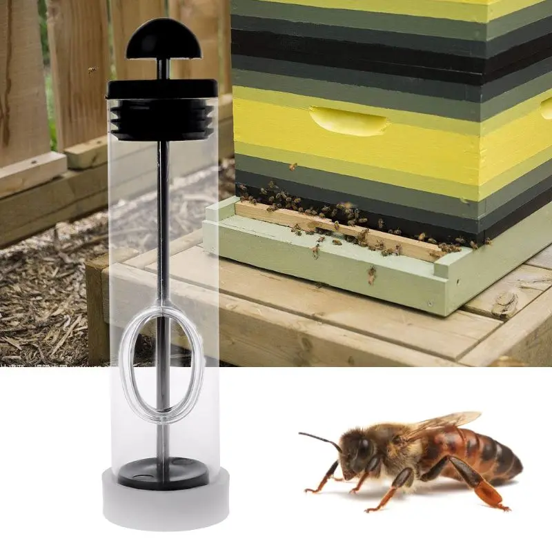 Bee Queen Marker Bottle Box Bee Catcher Beekeeping Equipment Beekeeper