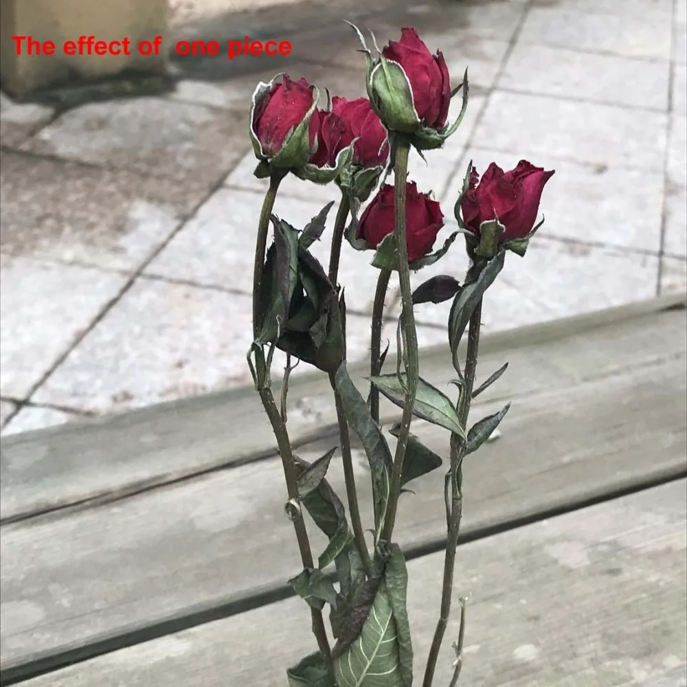 QQ20190414154001