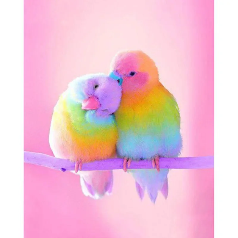 

5D DIY Full Drill Square or Round Diamond Painting Embroidery Set Two Colored Birds Mosaic Painting Cross Stitch Needlework
