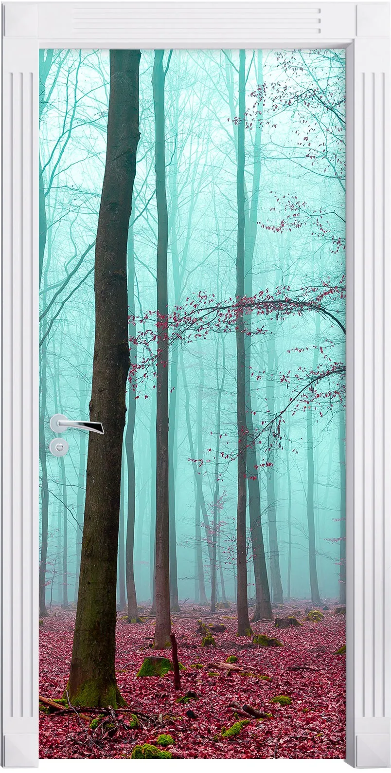 door_9950---1