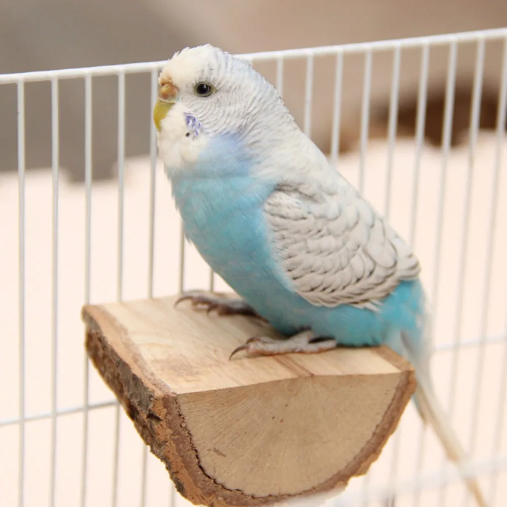 Parrot Wood Platform Pet Birds Cage Stand Platforms Birds Perches