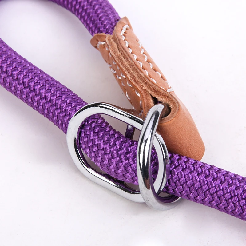 dog leash 5