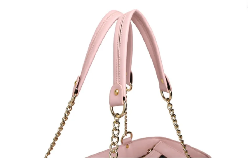 C34_New_arrival_Luxury_Pet_Carrier_Bag_Breathable_Portable_Travel_PU_Dog_Carrier_Handbag_for_Small_dog_Chihuahua_Yorkshire_2