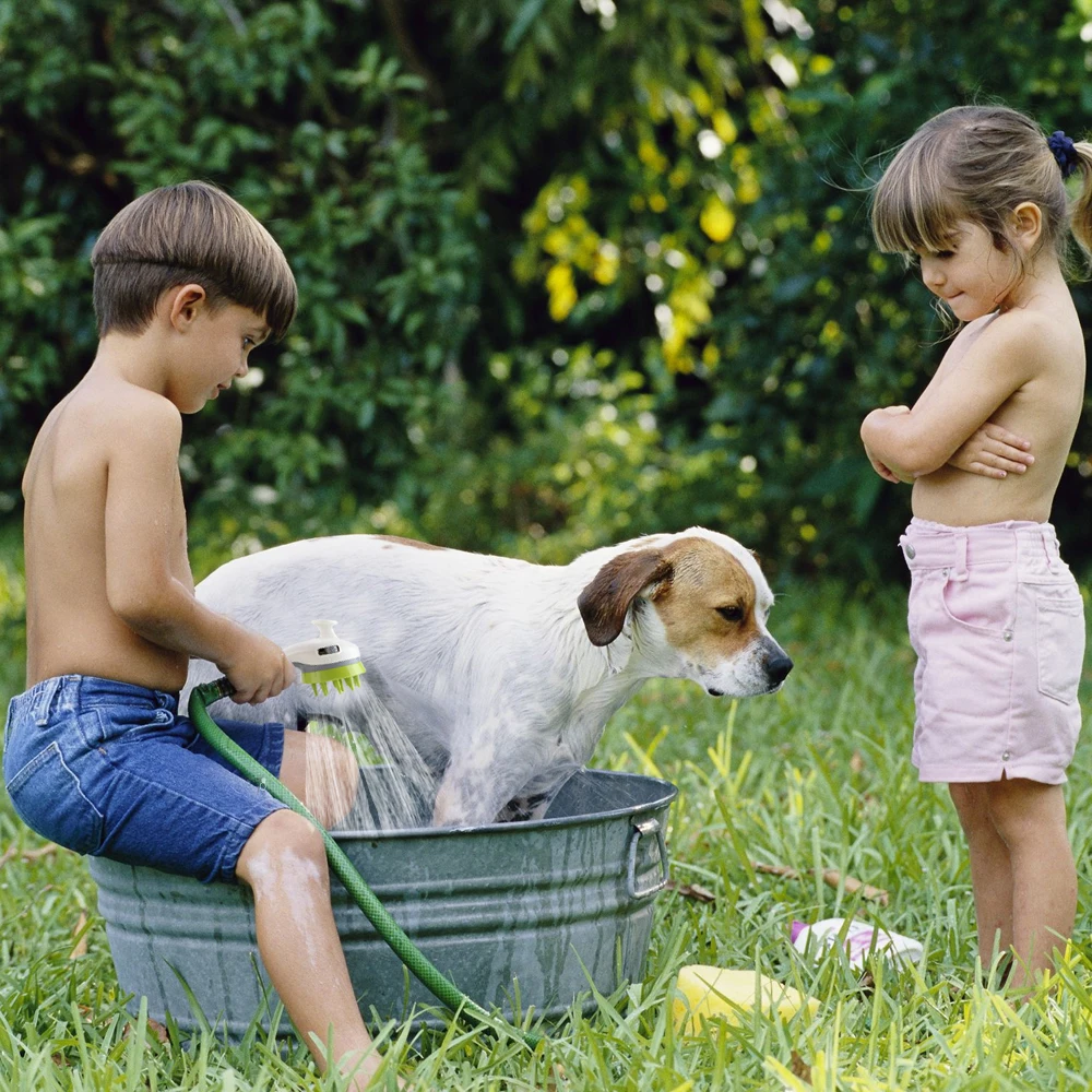 Pet Shower Sprayer Grooming Bath Massager Head Bathing Grooming Tool