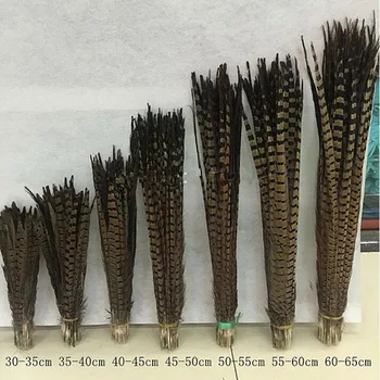 

Wholesale 100 pcs beautiful pheasant feathers a variety of colors optional long 14-26 inch 35-65 cm stage celebration decoration