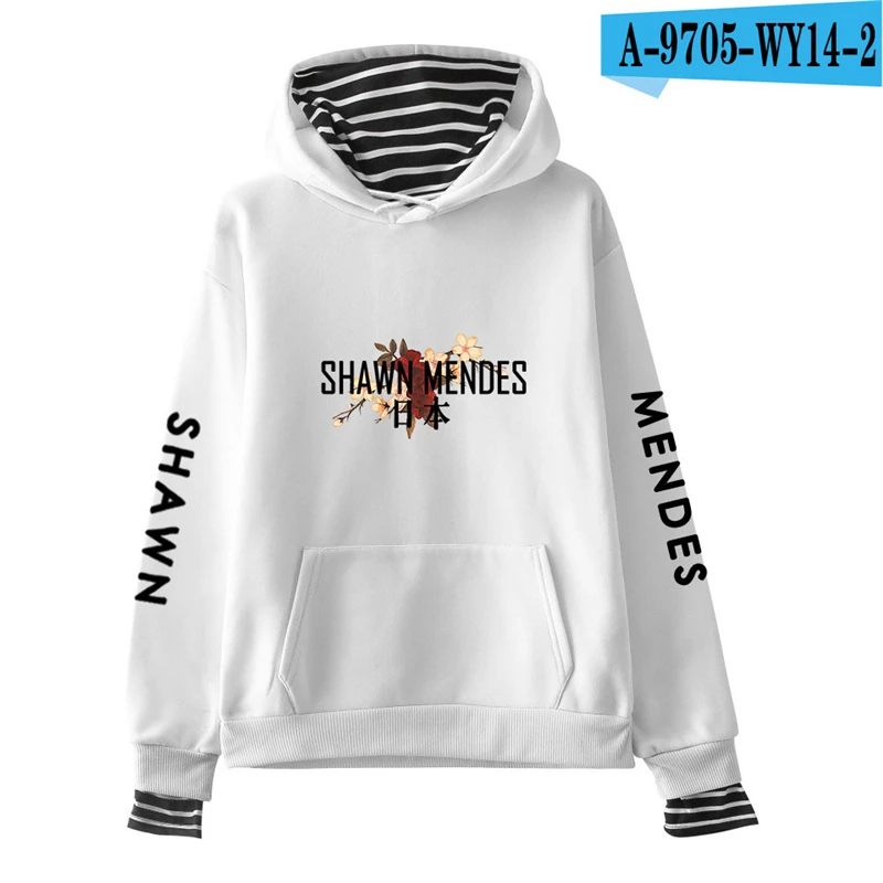 Shawn Mendes Hoodie Canada Popular Singer Pullover Moletom Hooded Sweatshirts Ladies Unisex Kpop Harajuku Printed Hip Hop Hooded