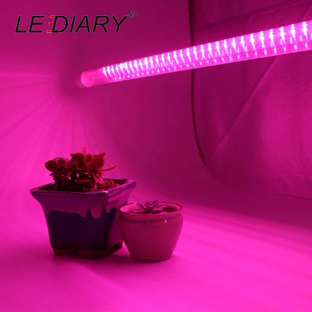 aquarium bulbs for plant