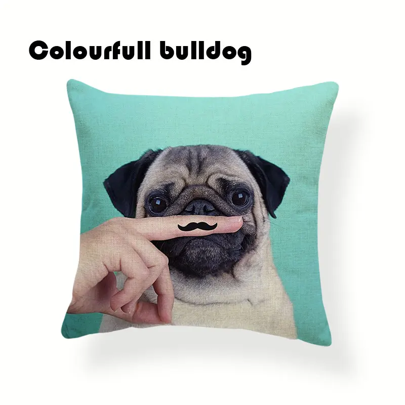 AB9244 (3)
