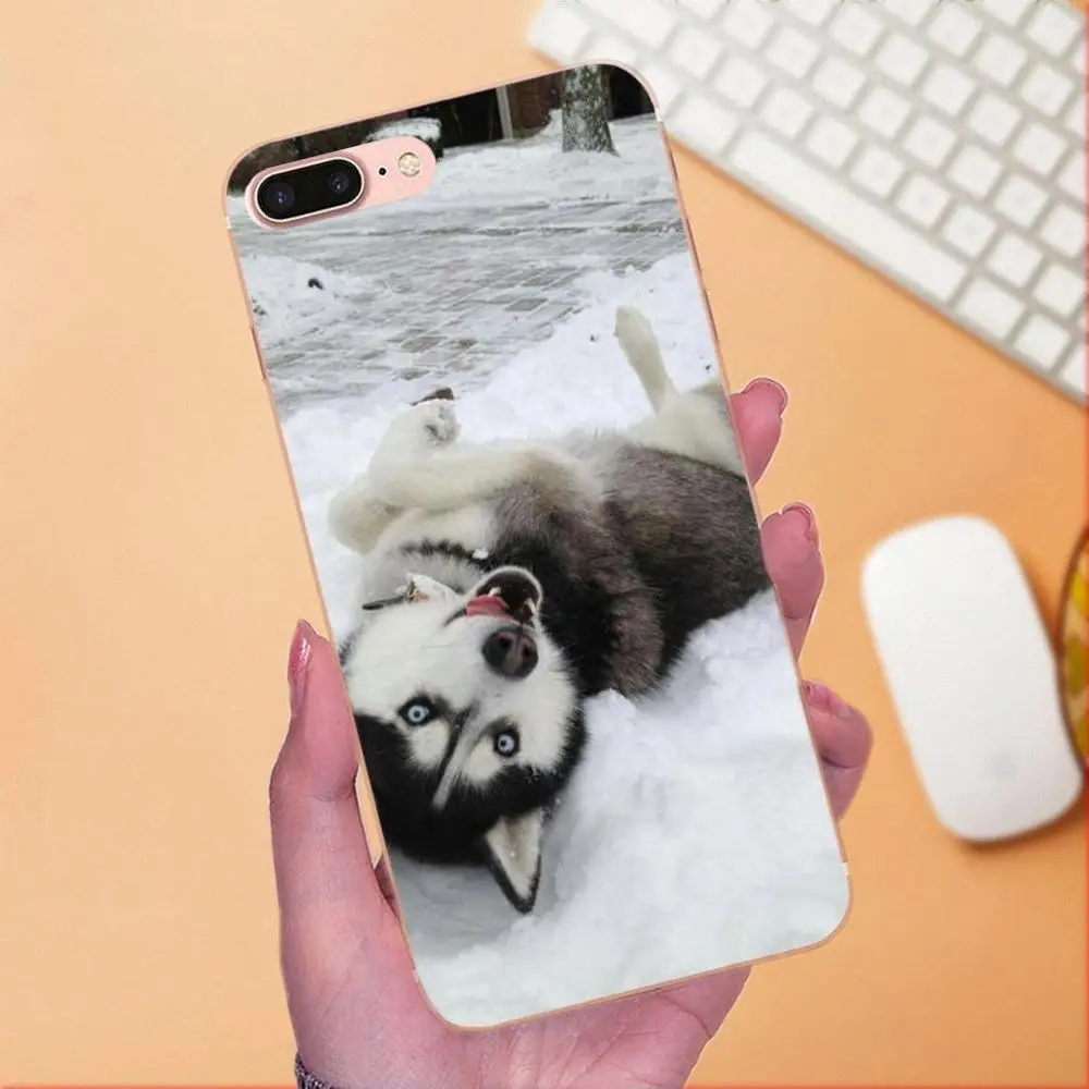 Мягкий художественный чехол для Xiaomi Redmi Note 2 3 3S 4 4A 4X 5 5A 6 6A Pro Plus Husky Dog