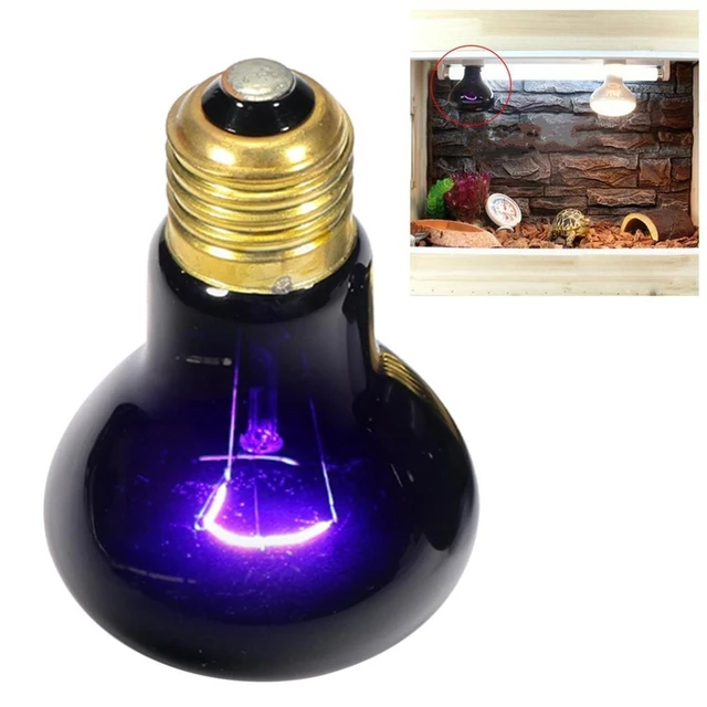 Pet Heating Lamp 25W 40W 60W 75W 100W Purple Reptile Night Heating Lamp