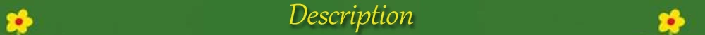 1 пара, женские носки, Мультяшные животные, женские, хлопковые, модные, повседневные, зимние, Осенние, Harajuku, теплые, Мультяшные, Harajuku, короткие носки