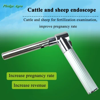 Endoscopio pecore bovini strumenti veterinari inseminazione artificiale esame strumenti portatili agricoltura Veterinaria animali da fattoria