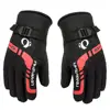 Thermal Gloves For Men Winter Outdoor Motorcycle Riding Equipment Windproof Thickening Ski Gloves ► Photo 2/6