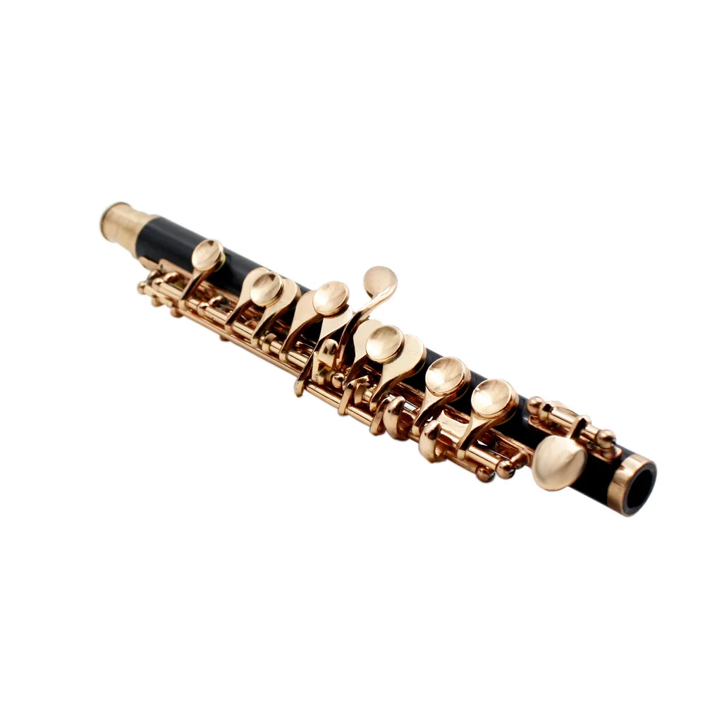 Clarinet C Piccolo Brand LADE Reed Silver Plated Gold Plated Upscale Oxford cloth box Soprano Binocular Clarinet