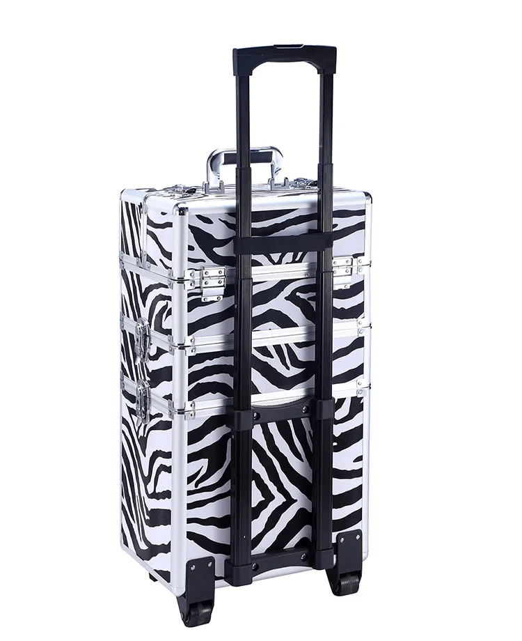 case (6)