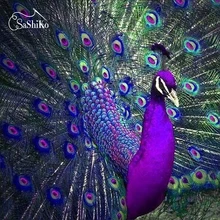 

Sashiko Full Diamond Painting Peacock Opening Animals Diamond Embroidery Patterns Home Decoration Painting Gift Cross Stitch