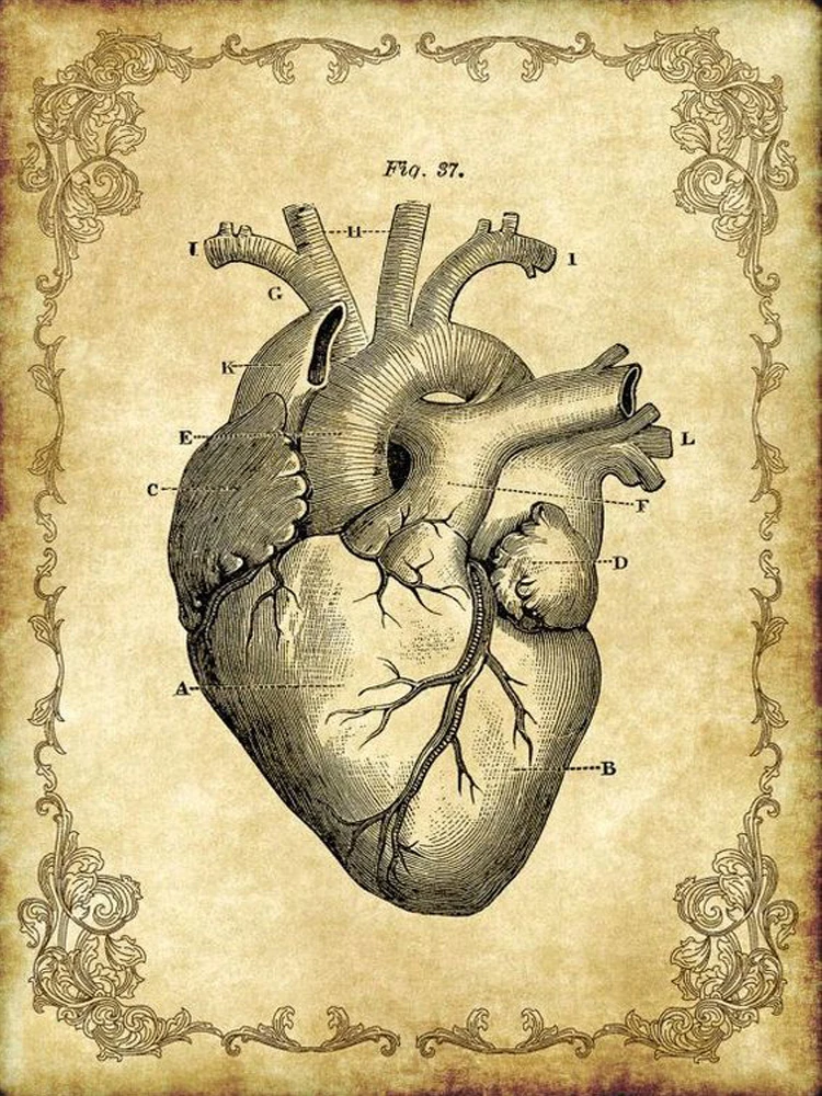 750x1000
