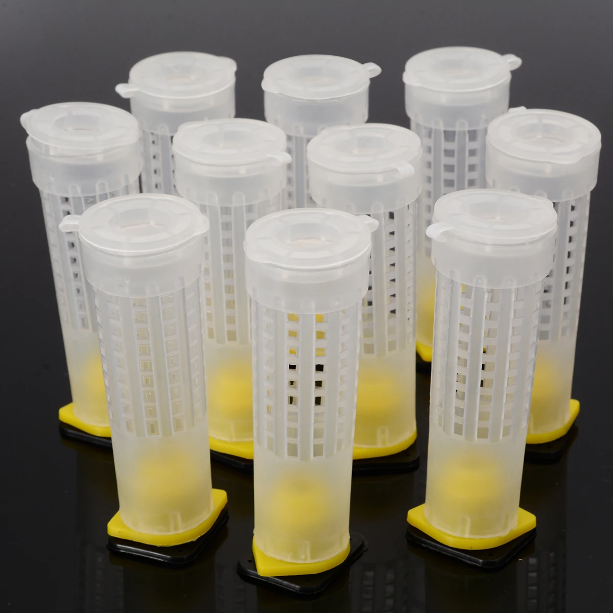 10Pcs Plastic Beekeeping Kit Rearing Queen Bee Cages Hair Roller Beekeepers Tool