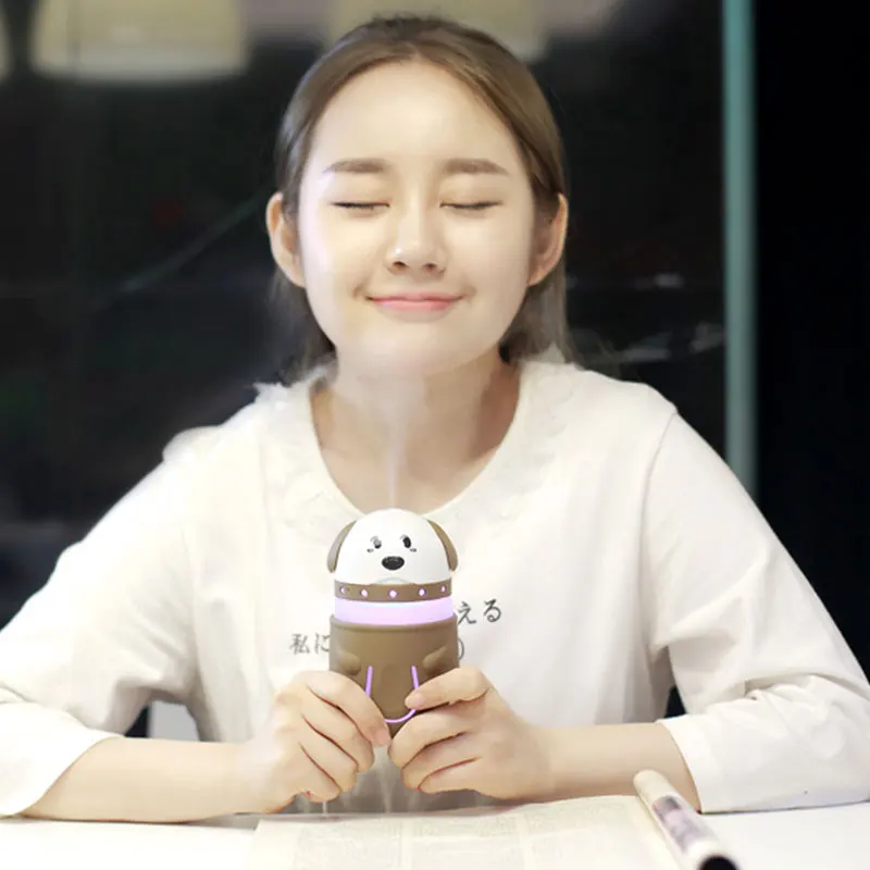 air humidifier  (7)