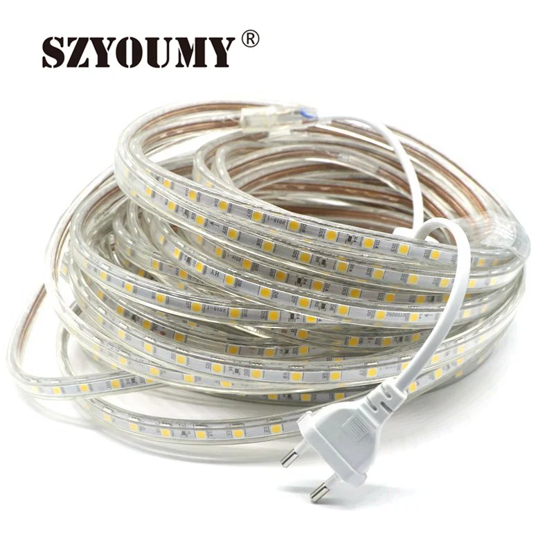 

SZYOUMY 5050 220V 100m/Lot RGB IP65 LED Strip With Plug And RGB Controller, Water Proof Flexible Ribbon Led Tape Light 60leds