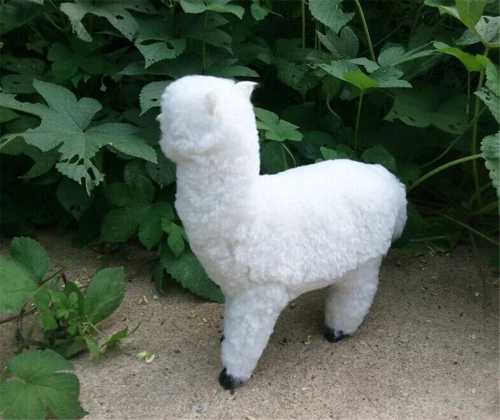 simulational animals white alpaca plush toy made of fur and polyethylene  sheep doll gift home decoration 2