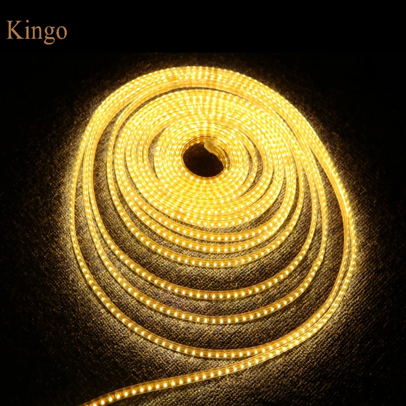 XIN20