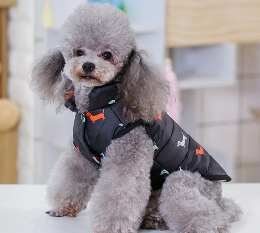 

New 2019Two dog style Clothes For Dogs Pets Dog Clothes Vest Harness Puppy Cats Coat Jacket Apparel warm clothing winter clothes