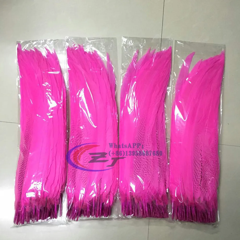 mmexport1492175000394