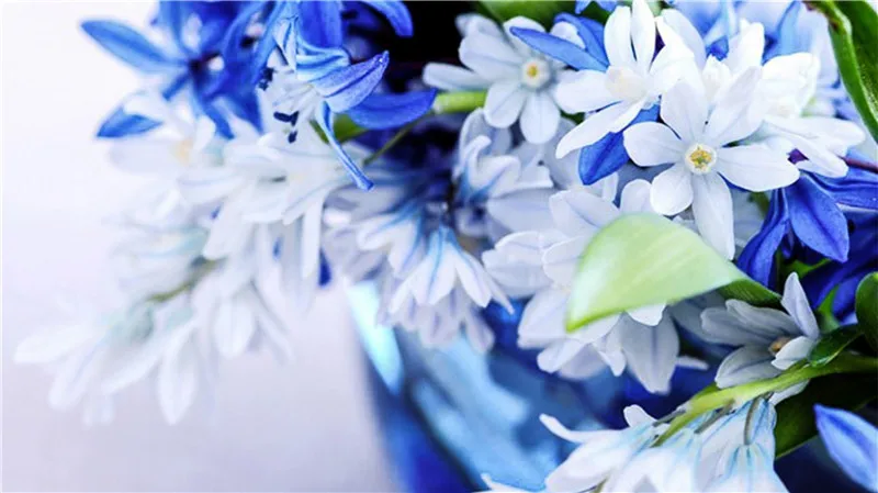 Diy 5d алмазная живопись синие цветы вышивка крестом круглые комплекты алмазов