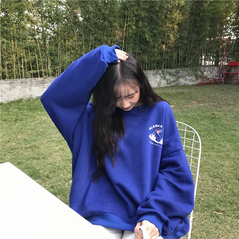 

2019 New Hoodies Sweatshirts Women Crew neck Clothing Feminina Spring Thick Loose Female Casual Coat Tracksuits Students Warm