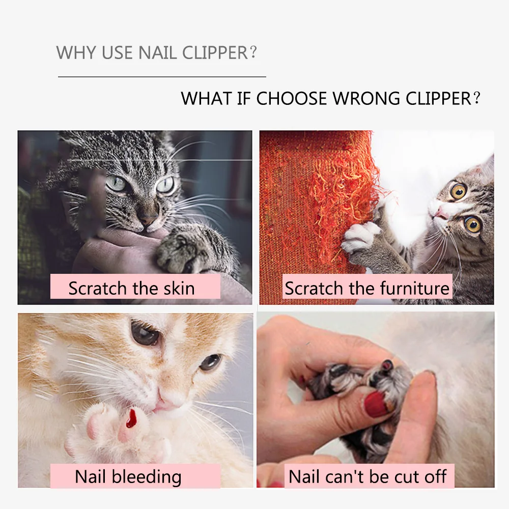 Professional Pet Cat Nail Clipper Stainless Steel Scissors for Animals Cats Cat Accessories