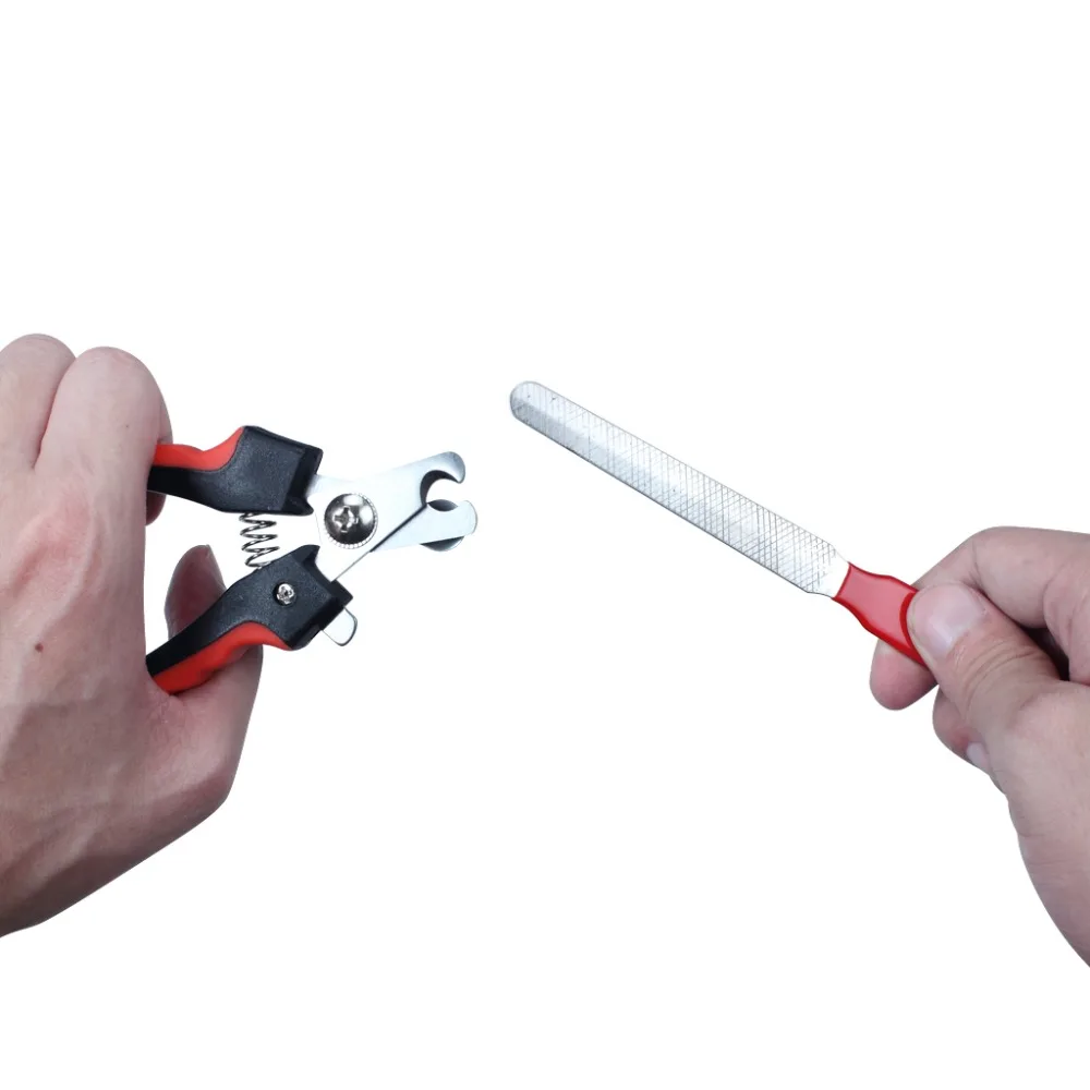 2 In 1 Pet Nail Clippers Cutter File for Dogs Cats Birds Guinea Pig Animal Claws Scissor Cut Set Kit  (6)
