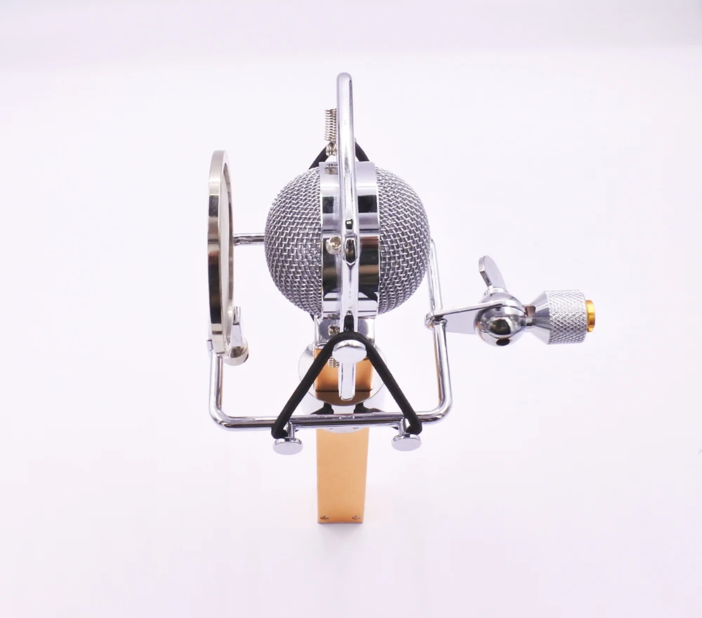 Dragonfly style professional studio computer vocal