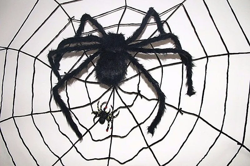 funniest halloween spider decoration dog costume diy large spider prop homemade dog treats to hand out - Halloween Spider Decoration funniest halloween spider decoration dog costume diy large spider prop homemade dog treats to hand out - Halloween Spider Decoration