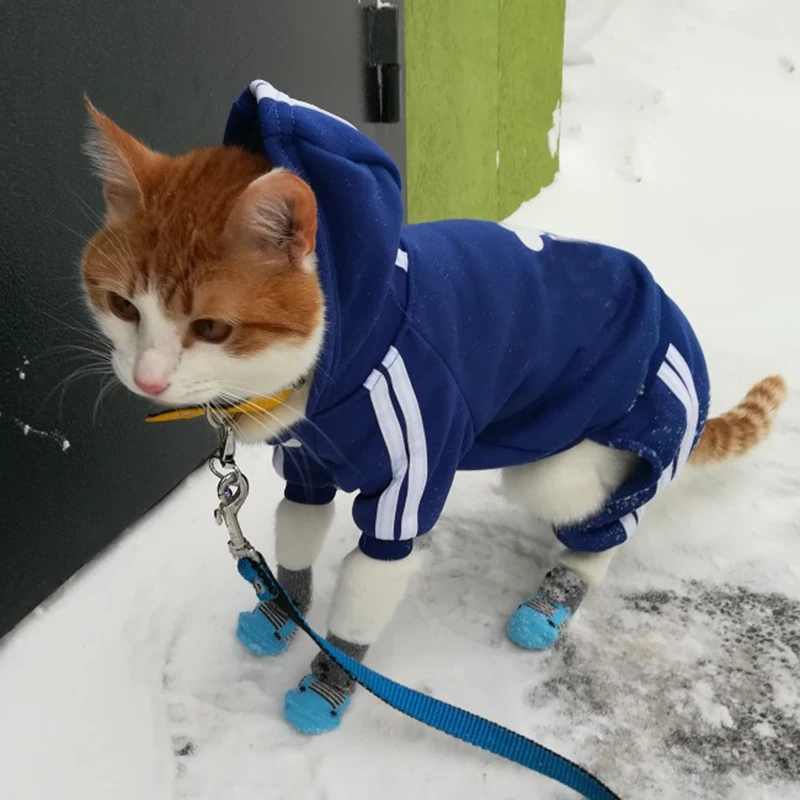 Słodki kociak sweter z kapturem zimowe ciepłe ubrania dla zwierząt dla kotów Sphynx Katten odzież strój Ropa Para gatos Kedi Giyim produkty dla zwierząt domowych 6 Słodki kociak sweter z kapturem zimowe ciepłe ubrania dla zwierząt dla kotów Sphynx Katten odzież strój Ropa Para gatos Kedi Giyim produkty dla zwierząt domowych 6