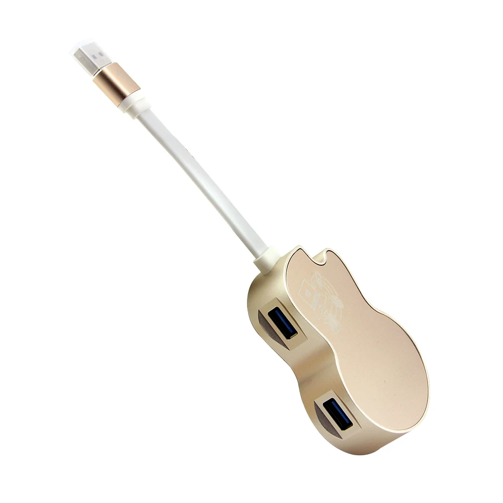 guitar model