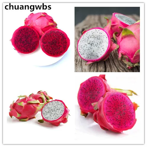 

200pcs 100% Real Dragon fruit Bonsai red Pitaya seedsplants for home garden Non-GMO fruit tree bonsai or potted plants