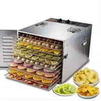10 Tray Fruit Dehydrator Machine Fruit Vegetable Meat Herbal Tea Fish Dryer Food Dryer