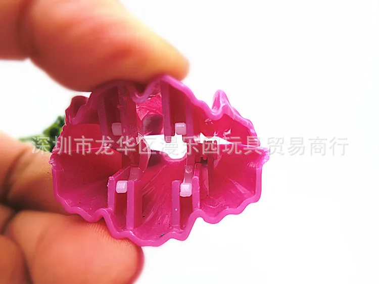 CIMG6002_副本.jpg