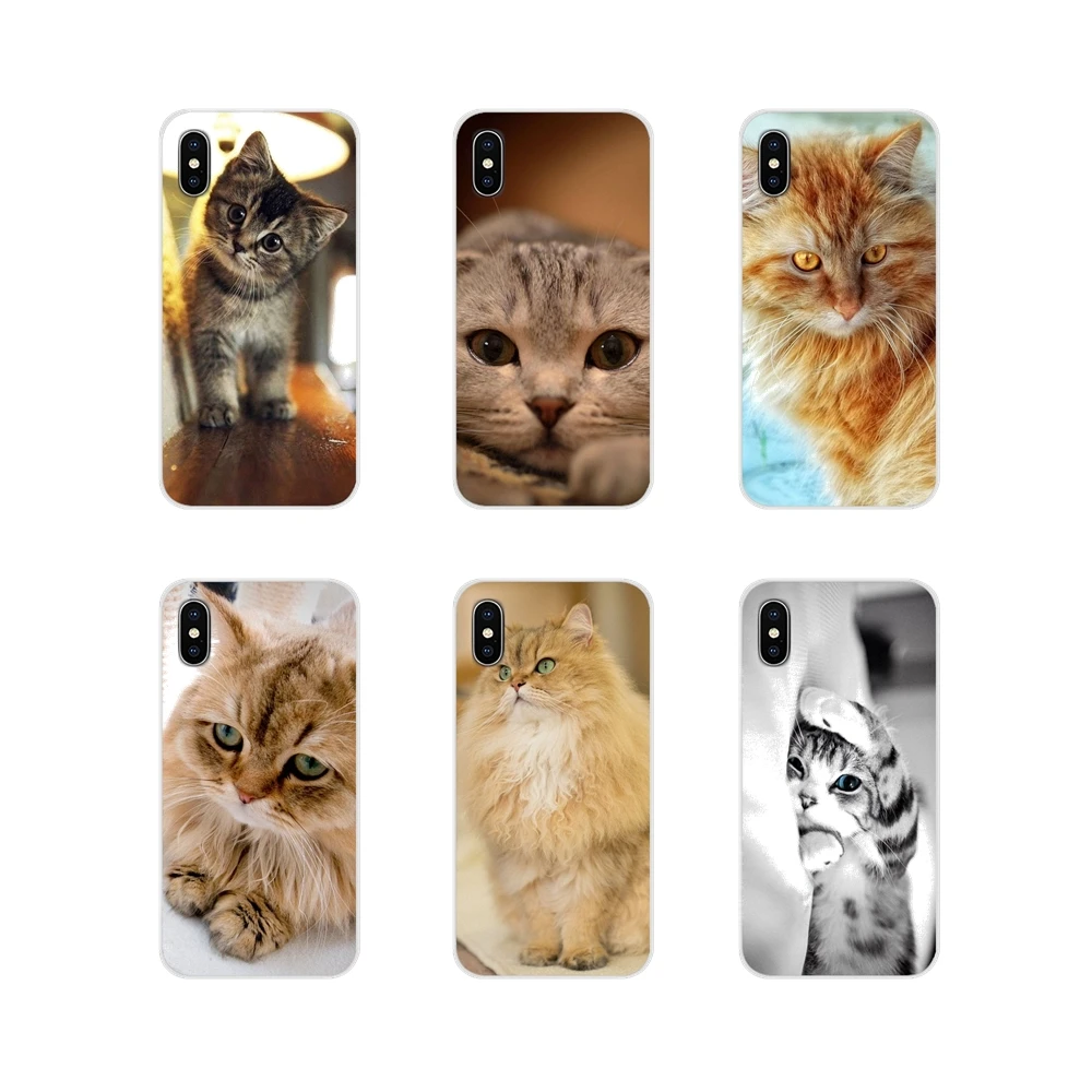 

For Xiaomi Mi6 A1 5X 6X Redmi Note 5 5A 4X 4A 4 3 Plus Pro pocophone F1 Accessories Phone Shell Covers Orange Fluffy Cat