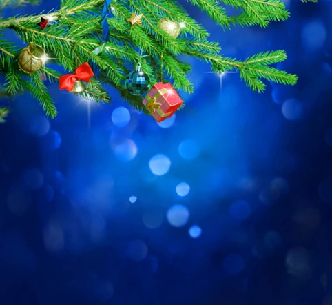 Photography Backdrops Blue Background Green Mistletoe With Christmas Ball font b Photo b font Background For