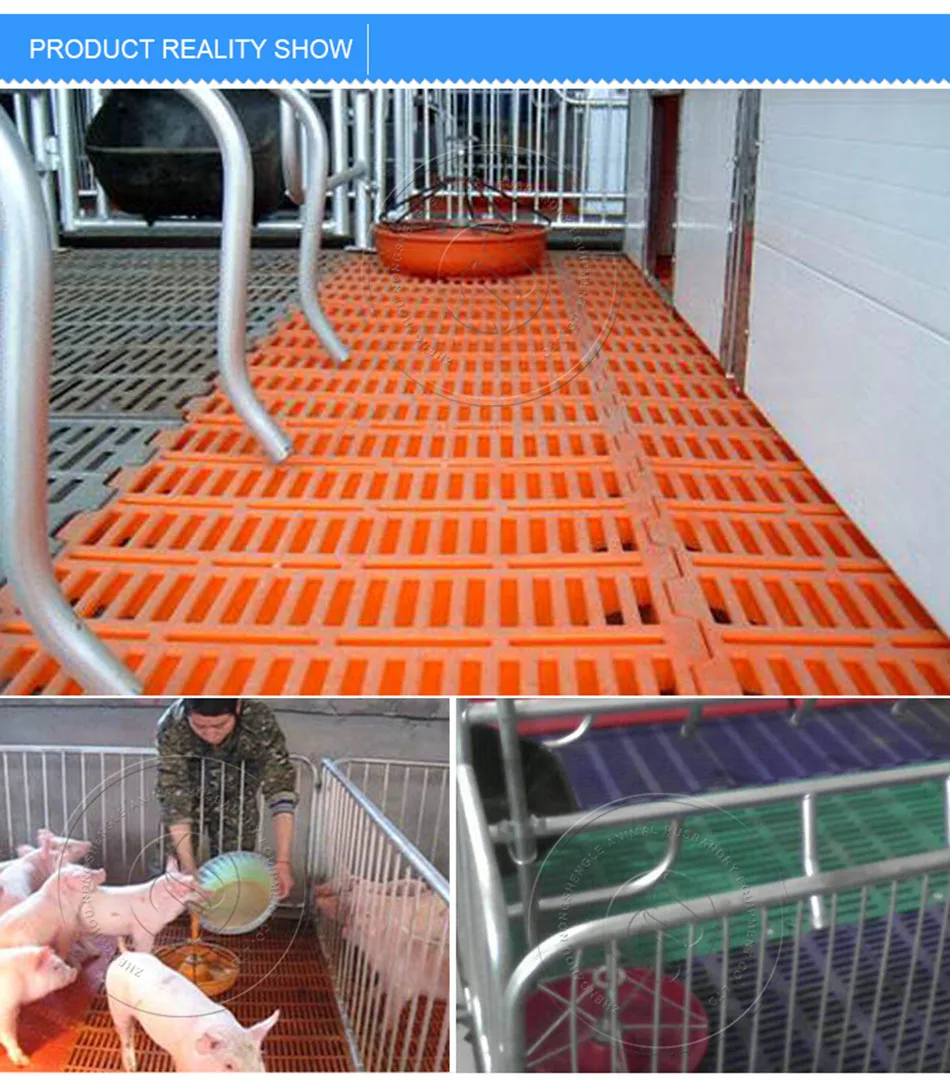 Nongshengle оранжевый Сильный Пластиковый поросенок Кормушка Для пиглет сельскохозяйственное оборудование