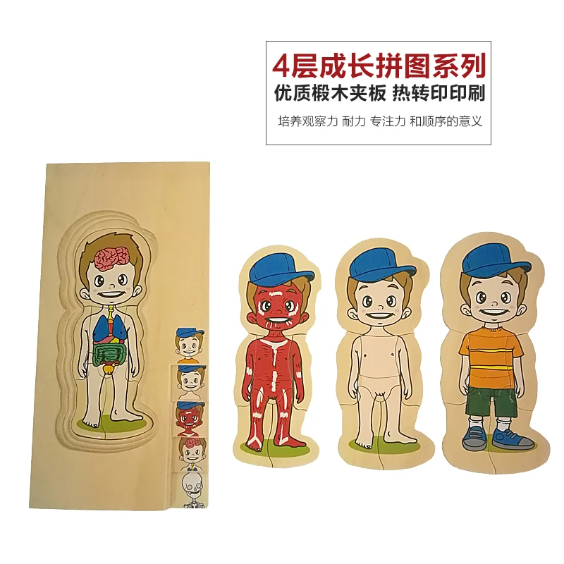 

Candice guo Montessori wooden toy wood human body puzzle game 4 layers bones Viscera muscle clothes mom Pregnancy process 1pc