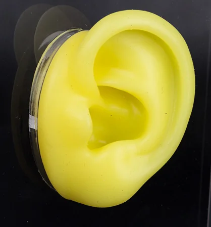 

Silicone ear model soft ear model human ear model simulation hearing aid display props teaching tools Jewelry display earring