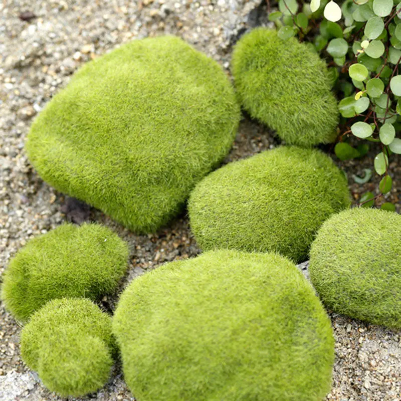 6pcs set Artificial Moss Stone Moss Balls Artificial Grass Mini Fairy