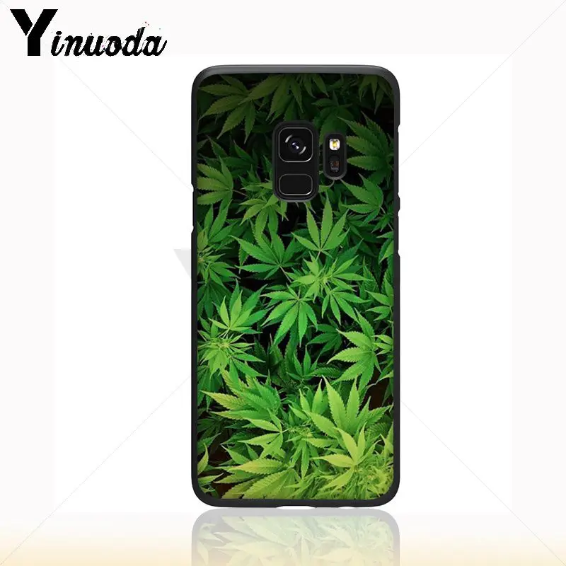 weed plant leaves Cannabis leaf