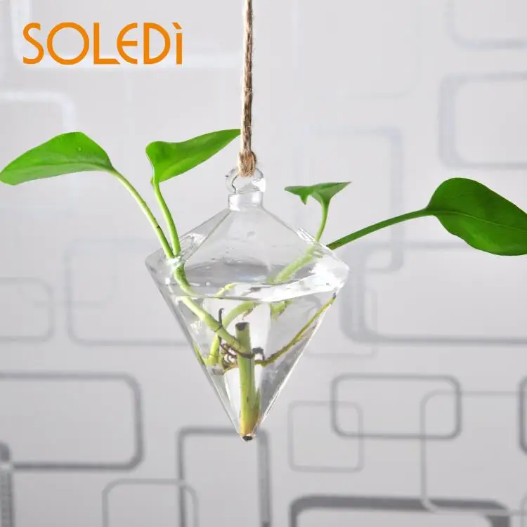 

Hanging Vase Hanging Terrarium Hanging Glass Planter Planter Container Glass